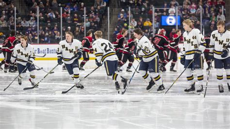 Minnesota high school boys hockey state tournament begins Wednesday ...