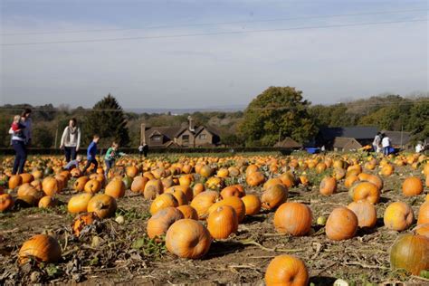 ☑ Where is tulleys farm halloween | ann's blog