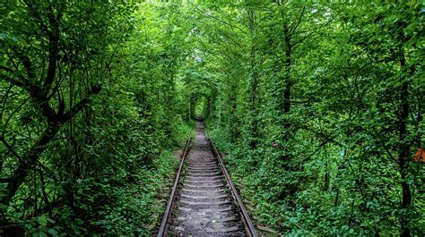 Tunnel of Love Photograph by Umair Vanthaliwala - Fine Art America