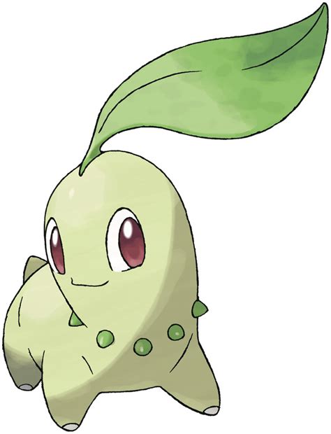 Chikorita Pokédex: stats, moves, evolution & locations | Pokémon Database