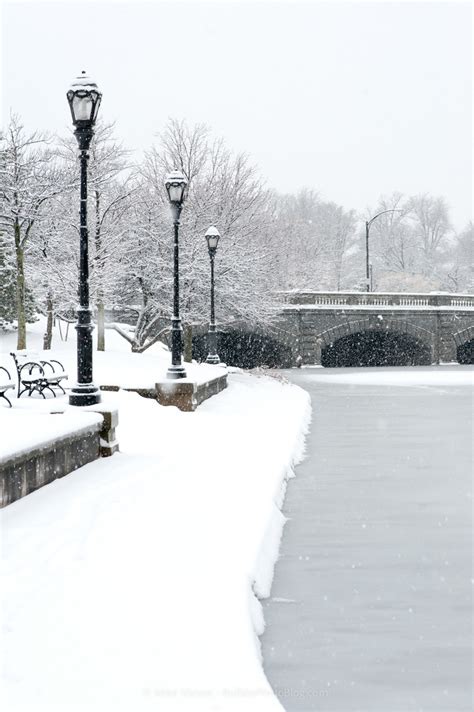 Photography of Buffalo, NY - buffalo winter