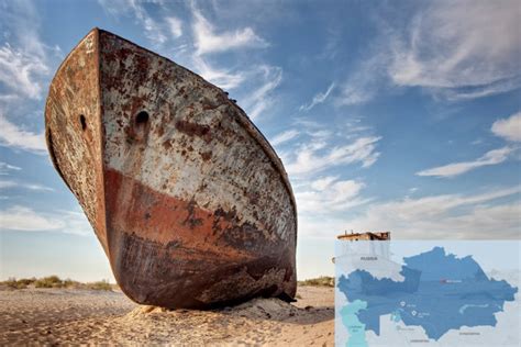 Aral Sea Restoration Efforts to Include Planting Million-Hectare Saxaul Forest - The Astana Times