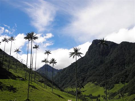 Mountain Climbing - Colombian Andean Region. Mountaineering trips and summits