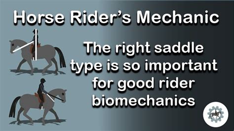 Which saddle type is best for good rider biomechanics?