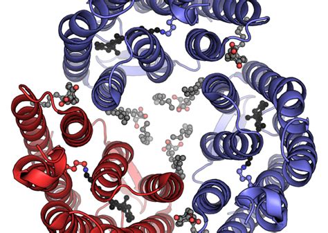 Bacteriorhodopsin – Smartencyclopedia