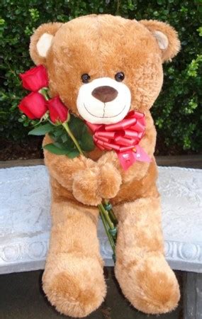 TEDDY BEAR WITH ROSES Teddy Bear holding Fresh Roses in Fairfield, CA ...