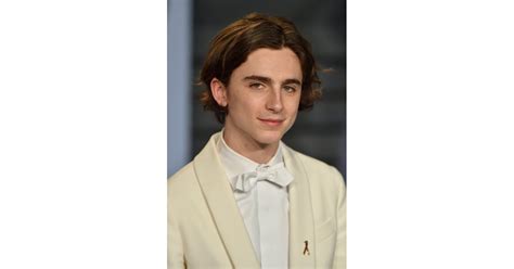 Timothée Chalamet as Laurie | Greta Gerwig's Little Women Movie Details ...