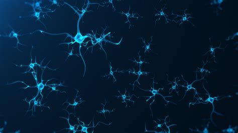 This Sensor Lets Scientists See Neuron-Level Brain Activity in Real Time