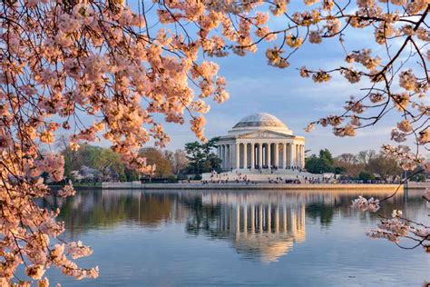 The Best Places To See Cherry Blossoms In Washington, D.C.