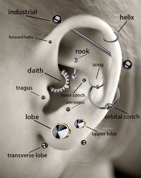 In case you need a helpful diagram of which piercings are which. | Ear ...