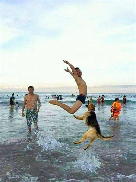 39 Hilarious Beach Photos Gone Wrong | Beach humor, Funny beach ...