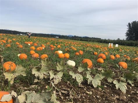 Stoney Ridge Farm is BACK! | Jerry Blankers