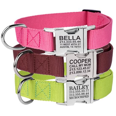 Engraved Buckle Dog Collar Personalized Custom Pink Blue Red