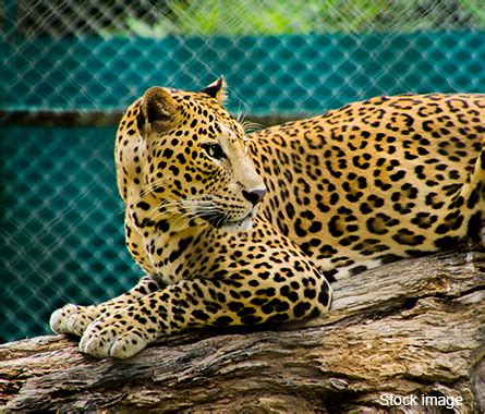 Byculla Zoo - Rani Baug | Veermata Jijabai Bhonsale Udyan