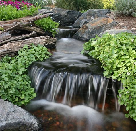 7 Tips to Keep Pond Water Clean | Waterfalls backyard, Backyard water ...