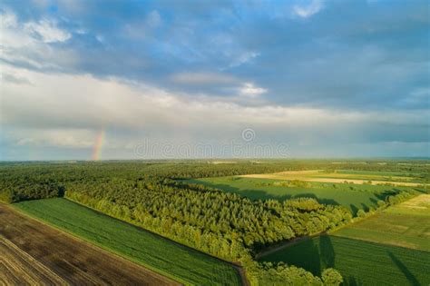 Drone Flight and Aerial View Over a Corn Field Stock Image - Image of cultivation, clouds: 123836597