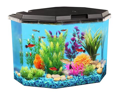 Corner Fish Tanks & Aquariums | Pentagon & Bow Front | FishTankBank.