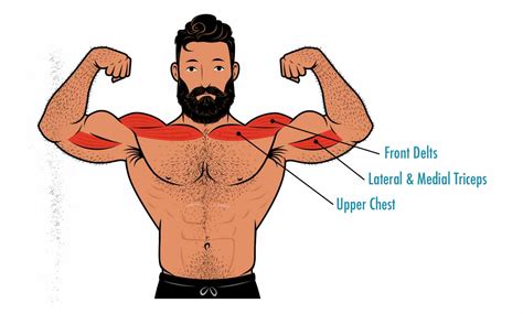 The Close-Grip Bench Press Guide – Outlift