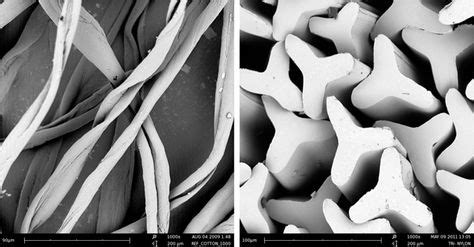 7 Best Fibers images | Fiber, Things under a microscope, Plant fibres