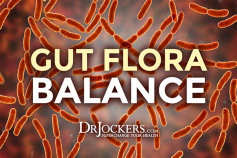 Gut Flora Balance is Key to Health - DrJockers.com