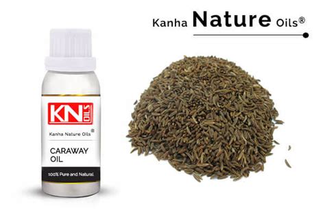 CARAWAY OIL - KANHA NATURE OILS (Manufacturer of essential oils)