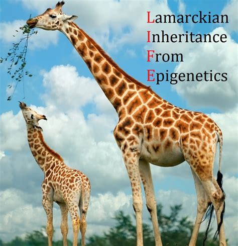 Lamarckian Inheritance From Epigenetics – Hugh Dower – Evolutionary Philosopher