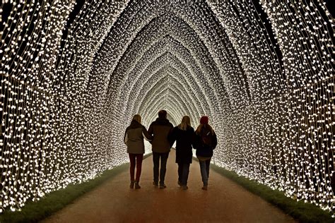 Lightscape - San Diego Botanic Garden