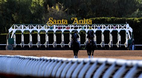 Santa Anita horse racing consensus picks for Friday, January 19, 2024 ...