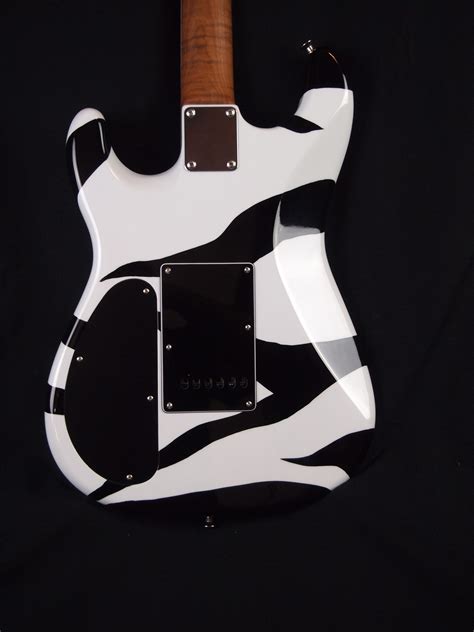 Lay's Guitar Shop Ted Nugent inspired zebra-patterned guitar | Akron, Ohio