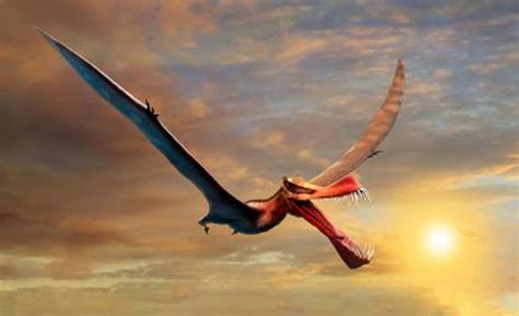 Largest-ever Australian Pterosaur Reconstructed In Amazing New Study | Ancient Origins