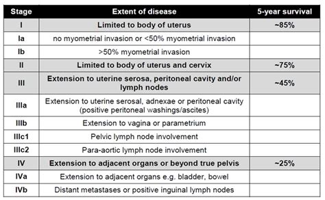 Is Stage 3 Endometrial Cancer Curable - CancerWalls