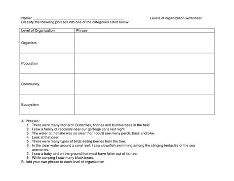 9 Best Images of Ecosystem Organization Pyramid Worksheet Template - My Activity Pyramid ...