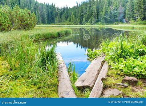 Wooden bridge in blue lake stock image. Image of outdoor - 99137901