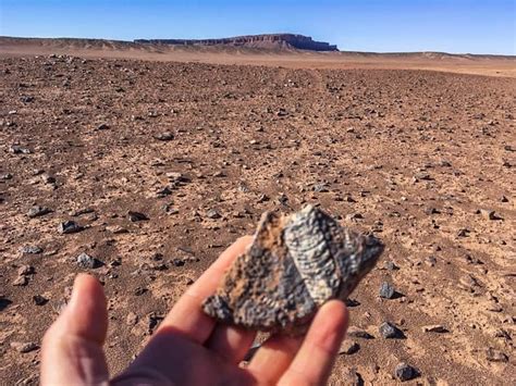 The Sahara Desert Used To Be An Ocean | Overlandsite