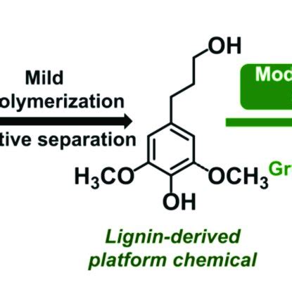 (PDF) Lignin to Materials: A Focused Review on Recent Novel Lignin ...