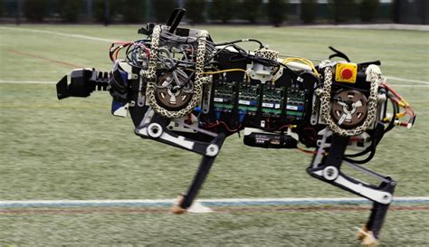 MIT researchers design battery powered cheetah robot | CBC News