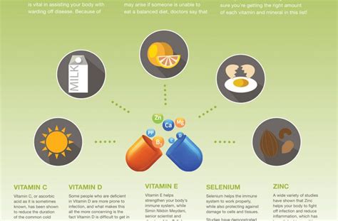 5 Best Vitamins & Minerals To Boost Your Immune System - Best Infographics