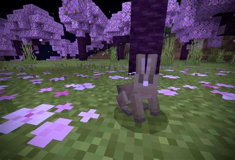 rabbit : r/Minecraft