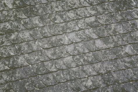 Slate Roof Tiles Background Free Stock Photo - Public Domain Pictures