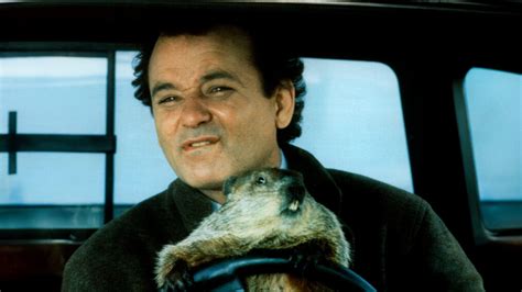 Secret History of Groundhog Day & 'Immortal' Punxsutawney Phil ...