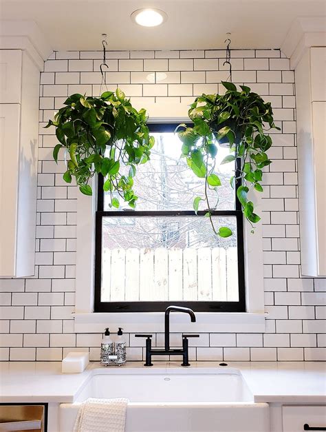 Note House Nashville | Plants in kitchen window, Kitchen plants, Design consultant