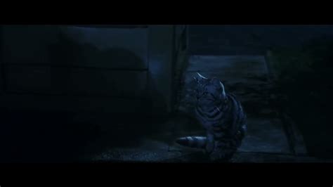 Cat Turns Into Mcgonagall | Mcgonall Transfiguration | Harry Potter and ...