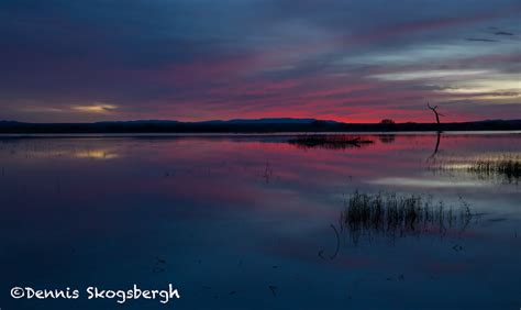 5700 Sunrise, Bosque del Apache NWR, New Mexico - Dennis Skogsbergh PhotographyDennis Skogsbergh ...