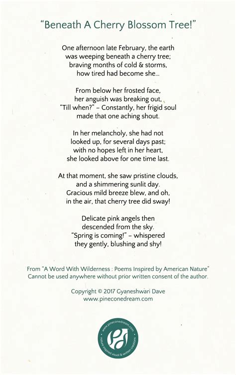 Beneath A Cherry Blossom Tree! - A Poem - Pineconedream by Gyaneshwari Dave | Cherry blossom ...