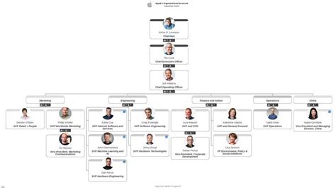 Apple's Organizational Structure + Template | Organizational chart ...