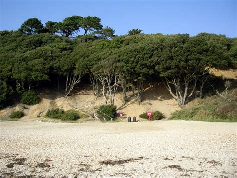 Highcliffe Castle Beach (Christchurch) - Dorset | UK Beach Guide