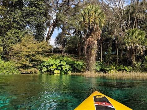 Guide to Exploring Rivers in West Central Florida - Escape Campervans