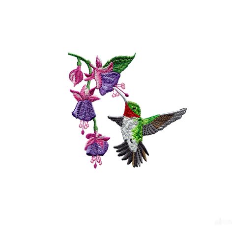 Swnhe101 Hummingbird Enchantment Embroidery Design | Free embroidery ...