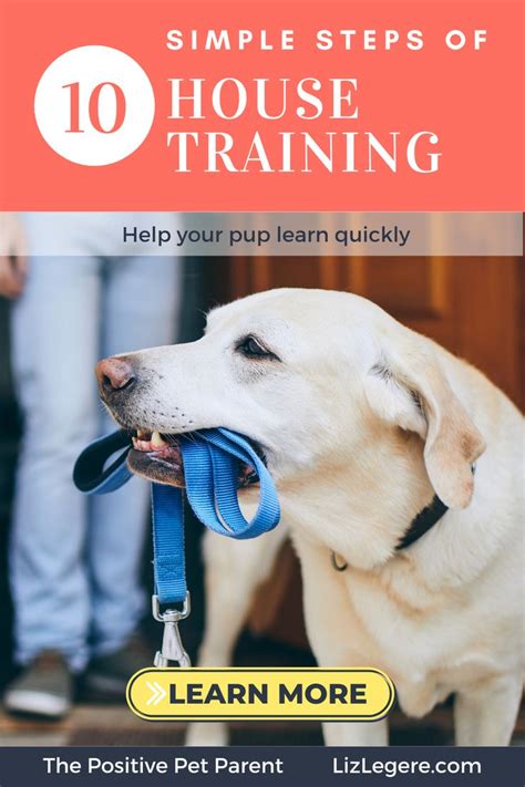 Housetraining the Easier Way in Ten Simple Steps in 2020 | Dog behavior ...