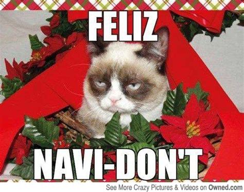 Grumpy Cat Christmas Memes – Comics And Memes